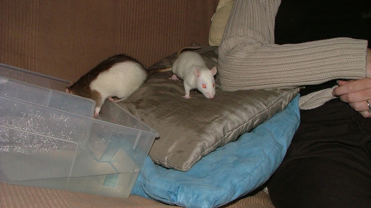 DSCF6662.JPG