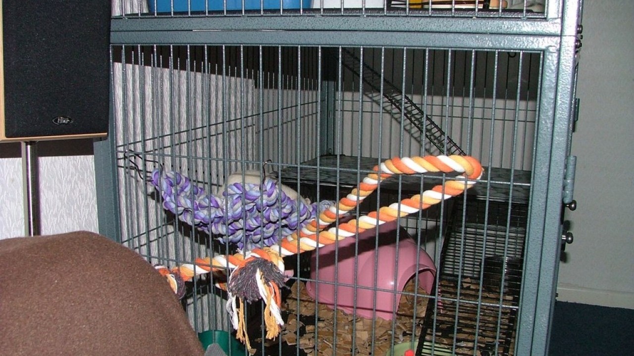 DSCF5574.JPG