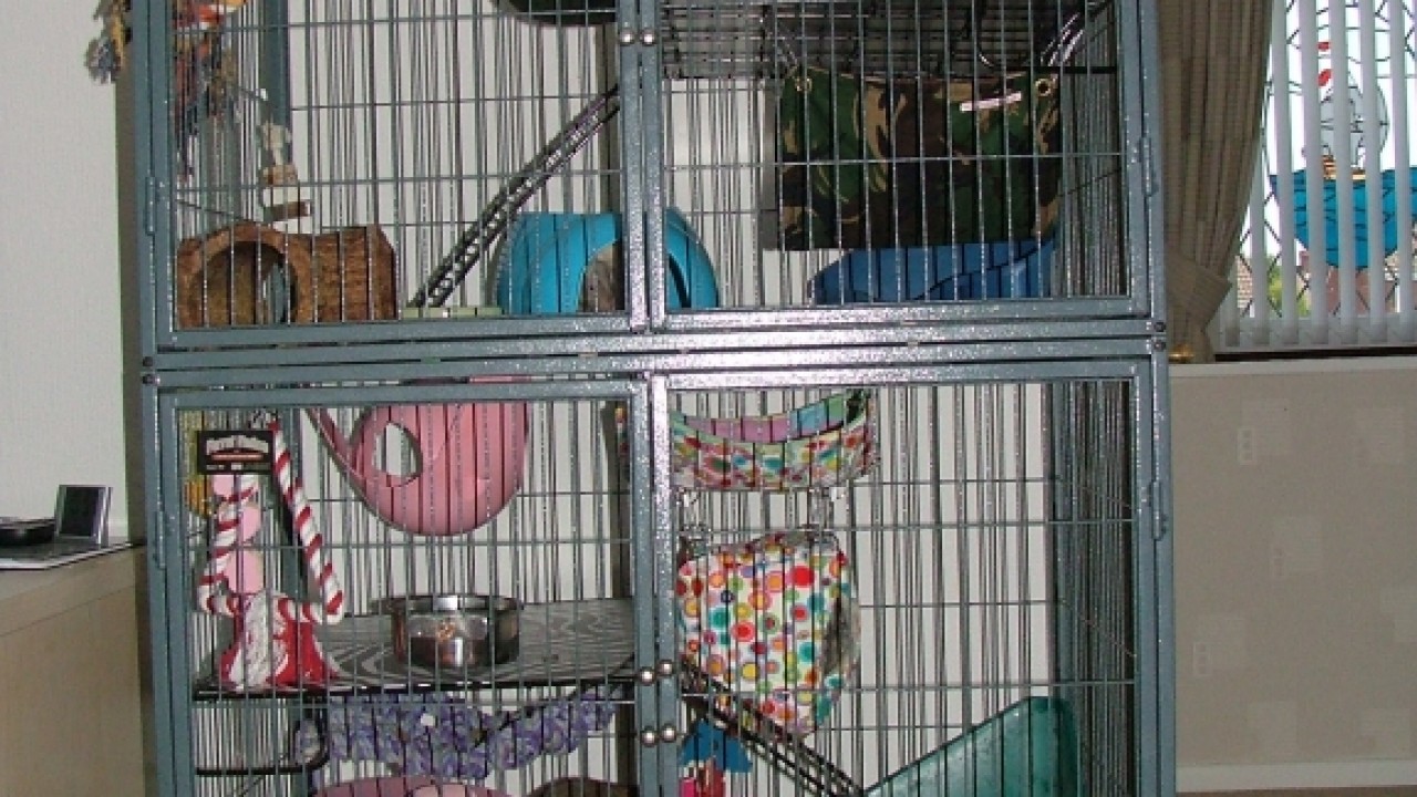 dscf6323.jpg