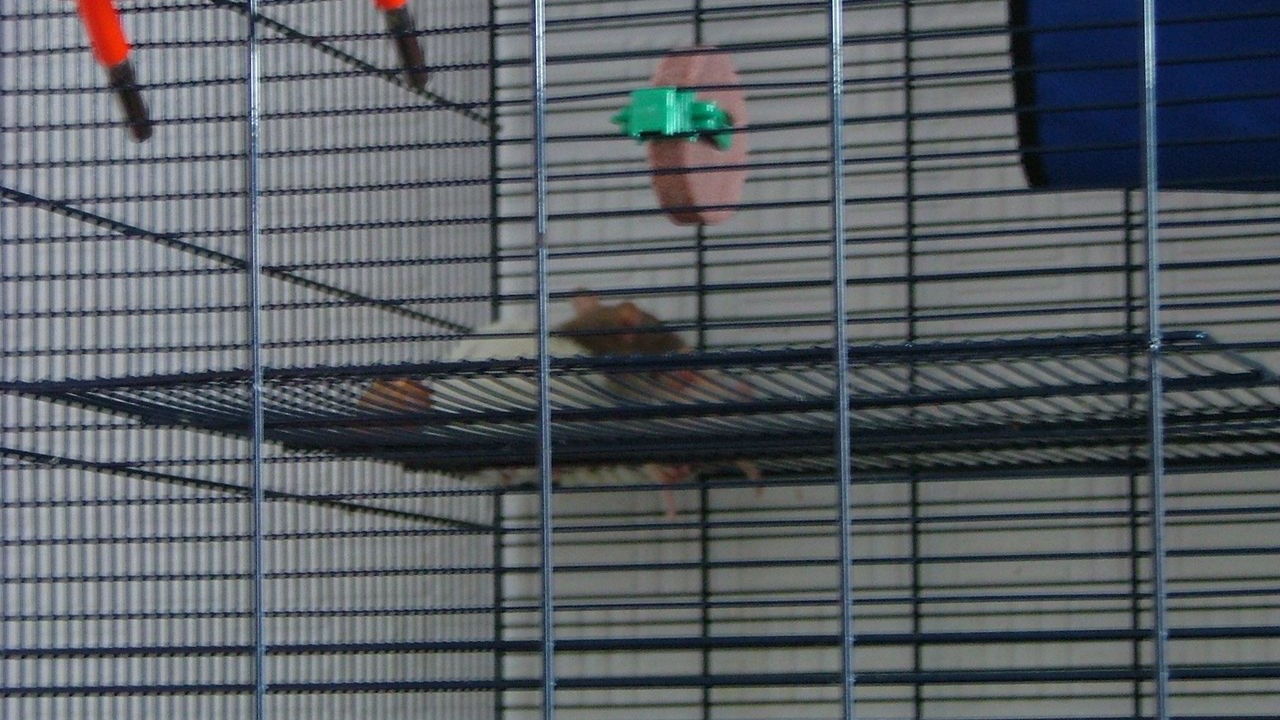 DSCF2135.JPG