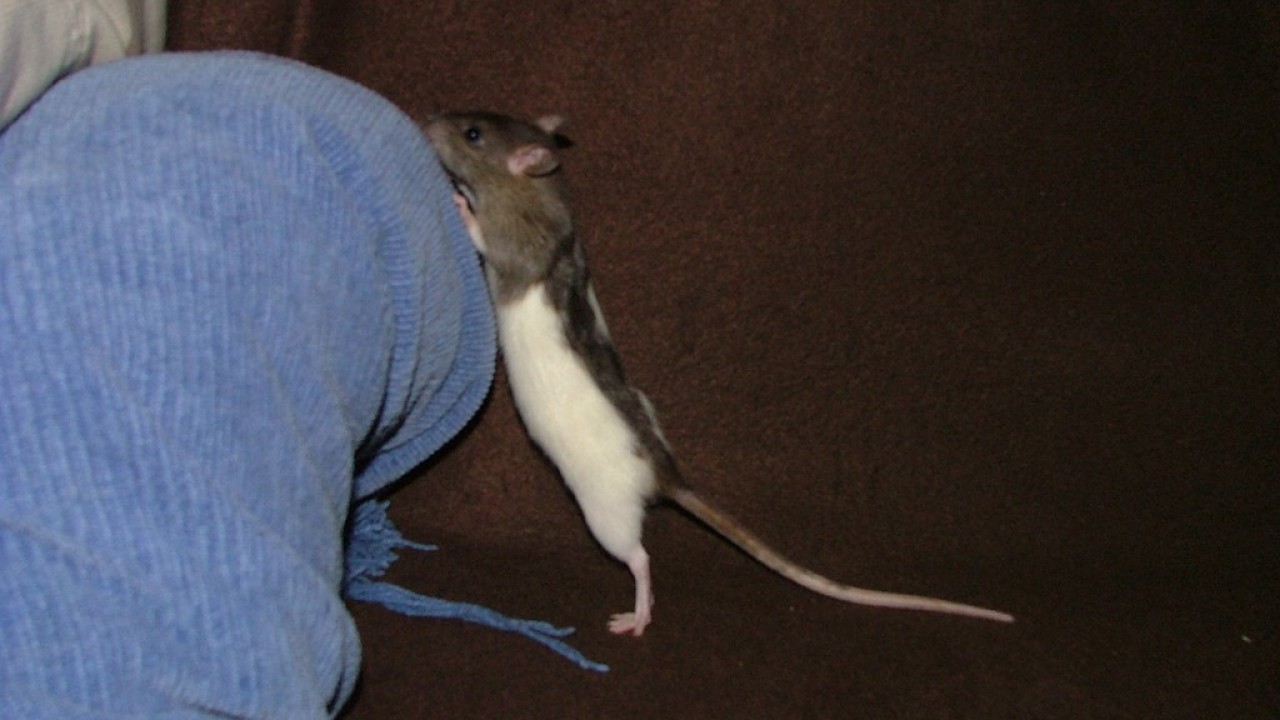 DSCF5473.JPG