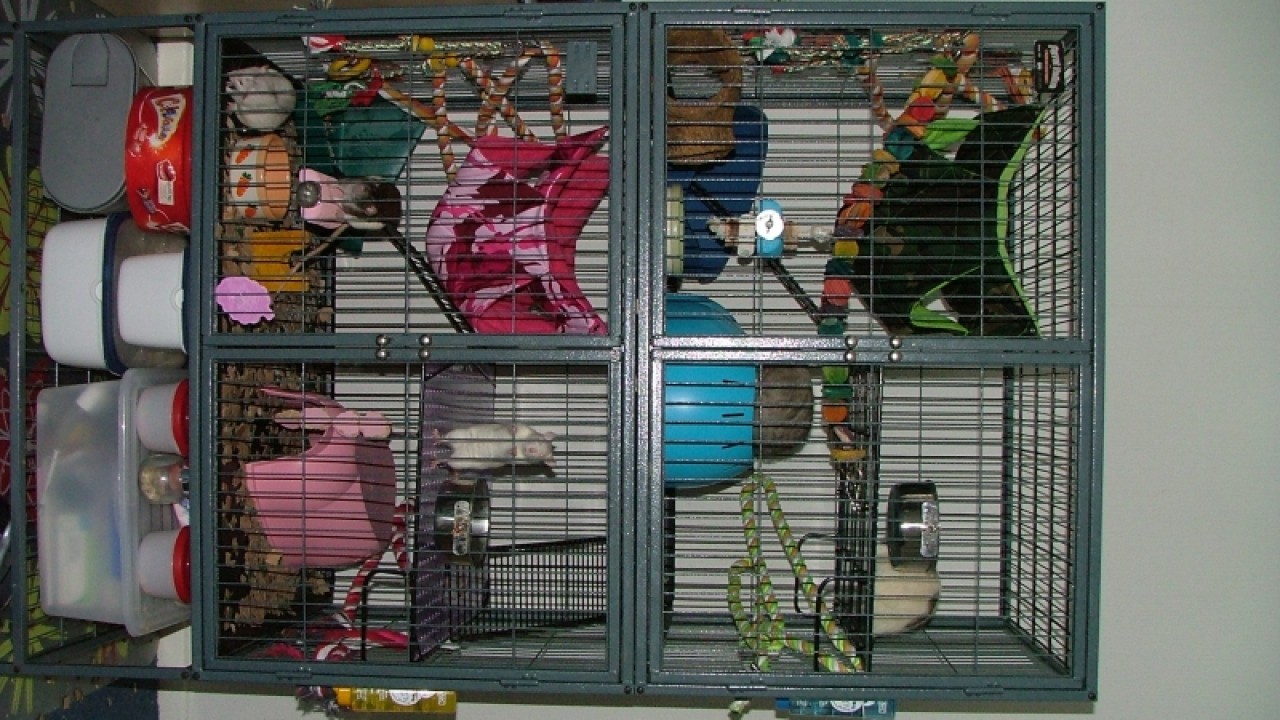 dscf6868.jpg