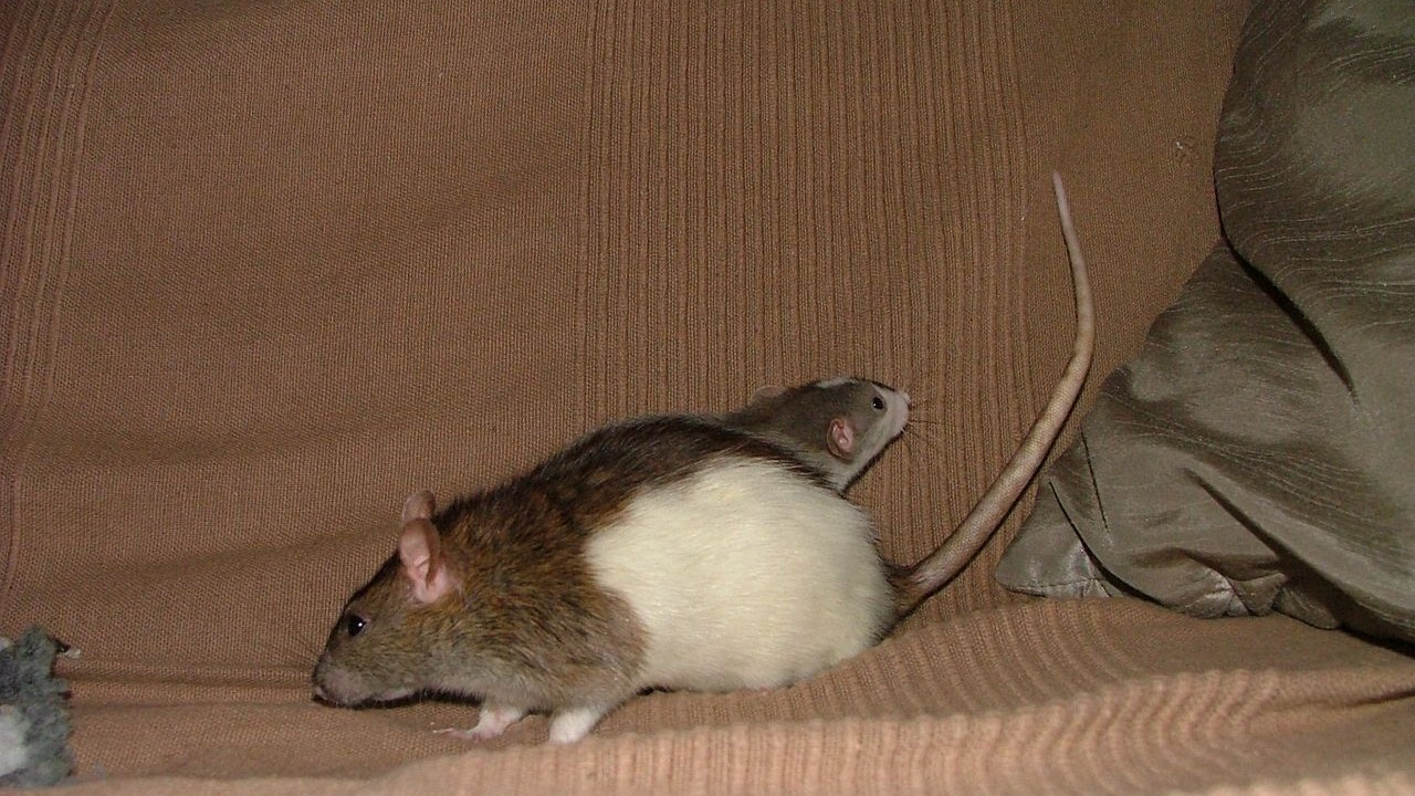 DSCF6646.JPG
