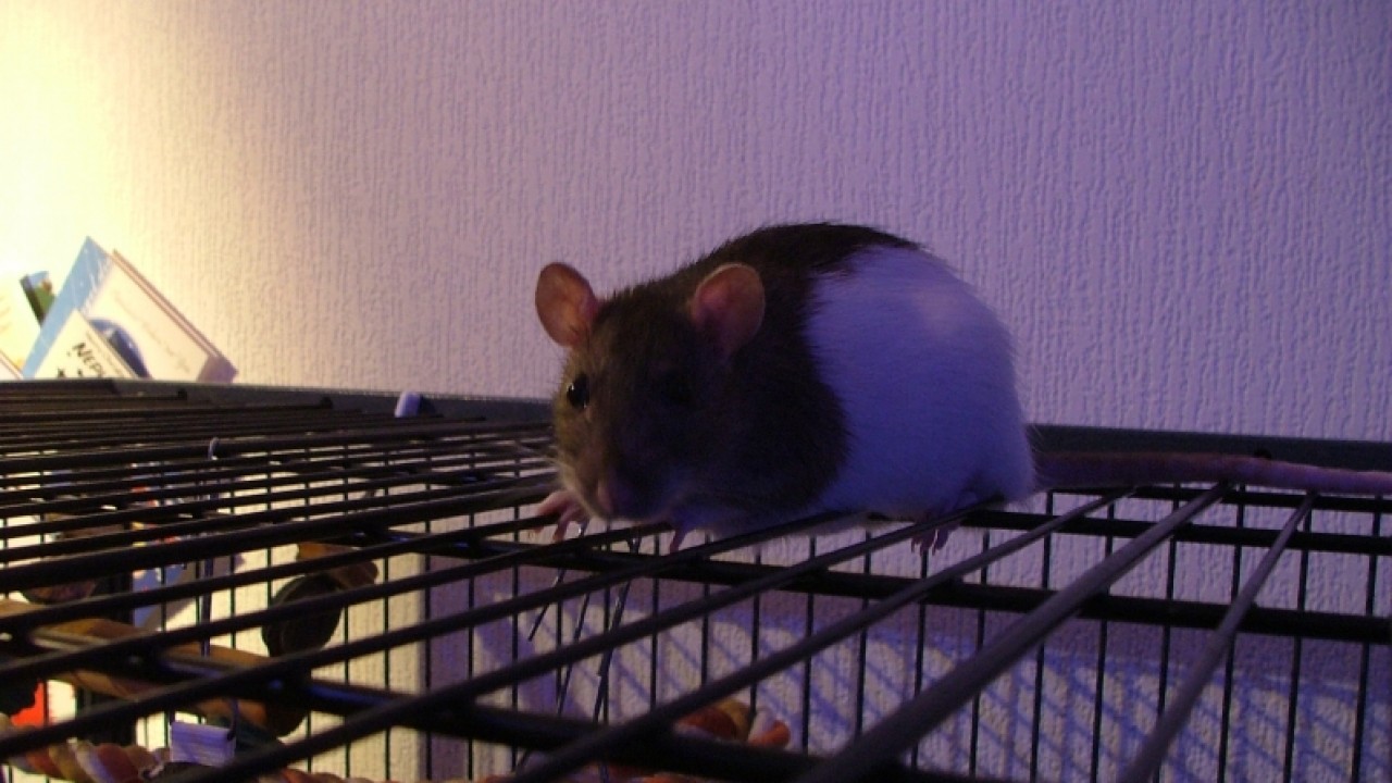 dscf6700.jpg