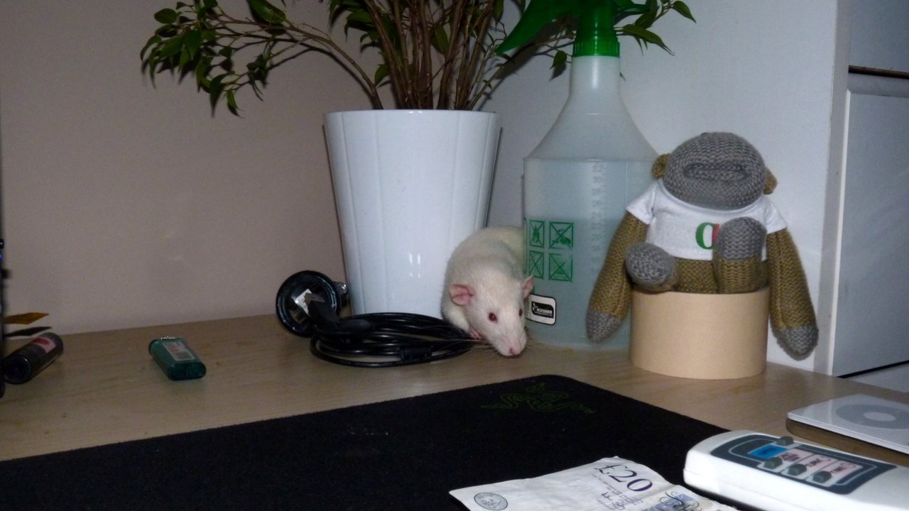 p1000863.jpg
