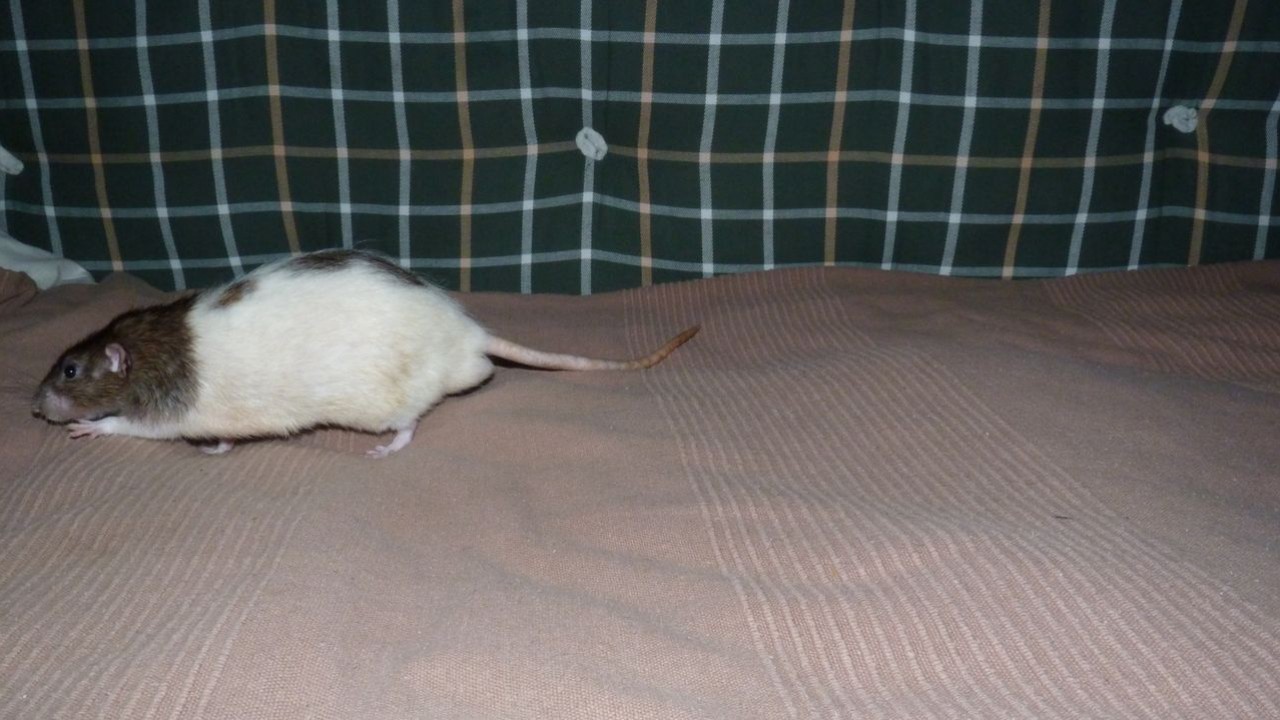 P1000366.JPG