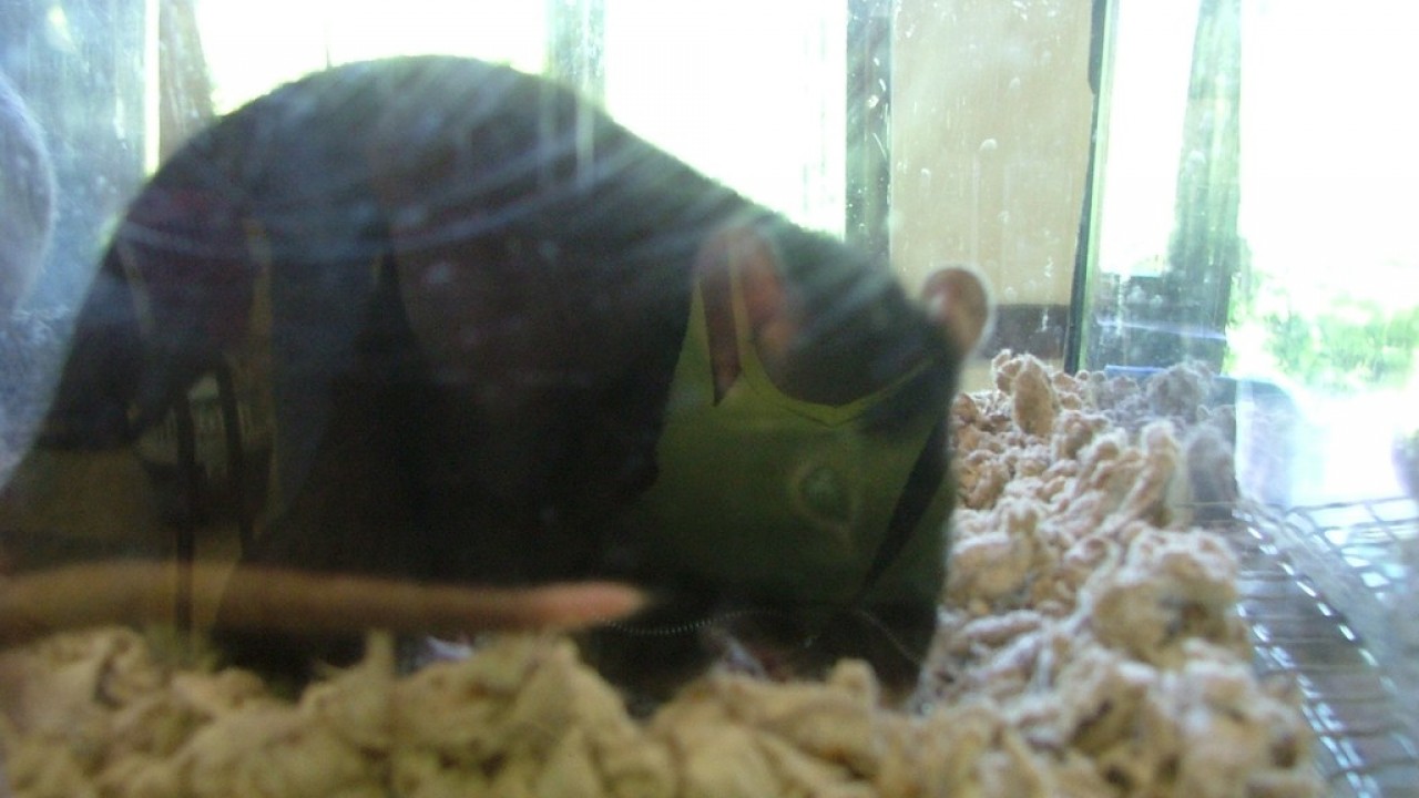 DSCF4035.JPG