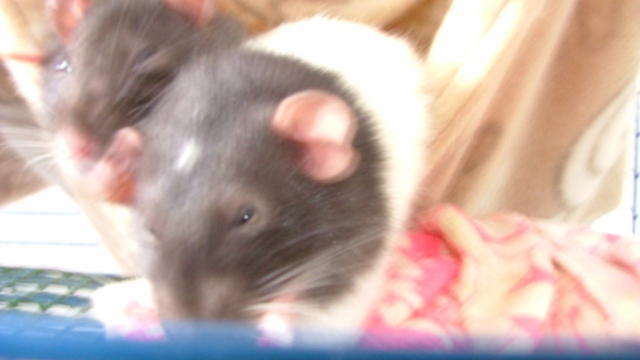 DSCF4023.JPG
