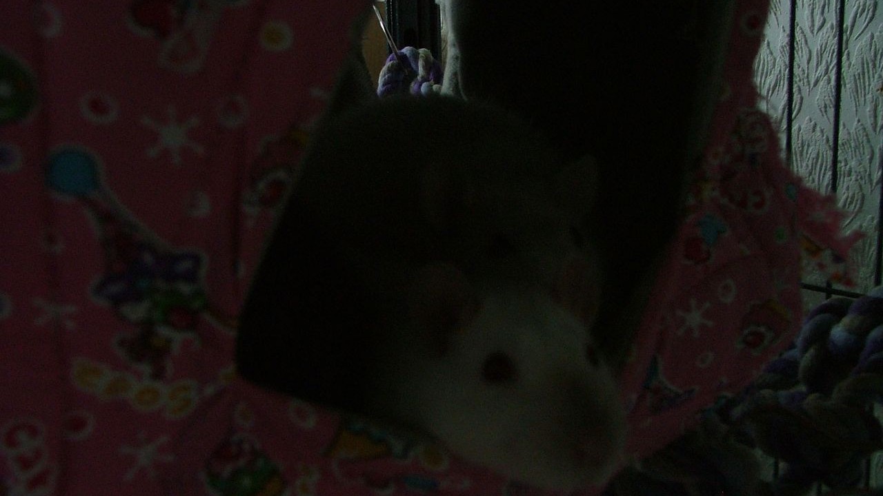 DSCF5673.JPG