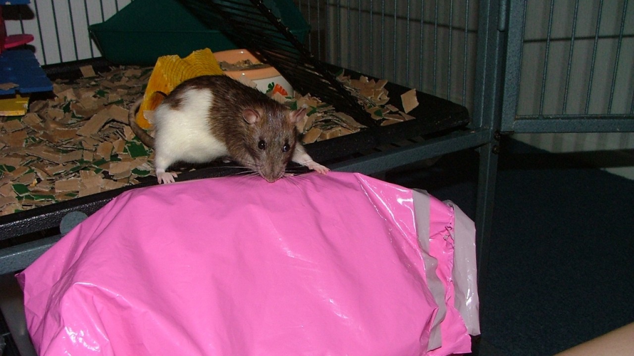 dscf6306.jpg