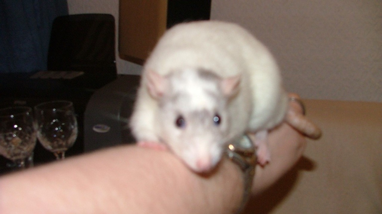 DSCF4286.JPG