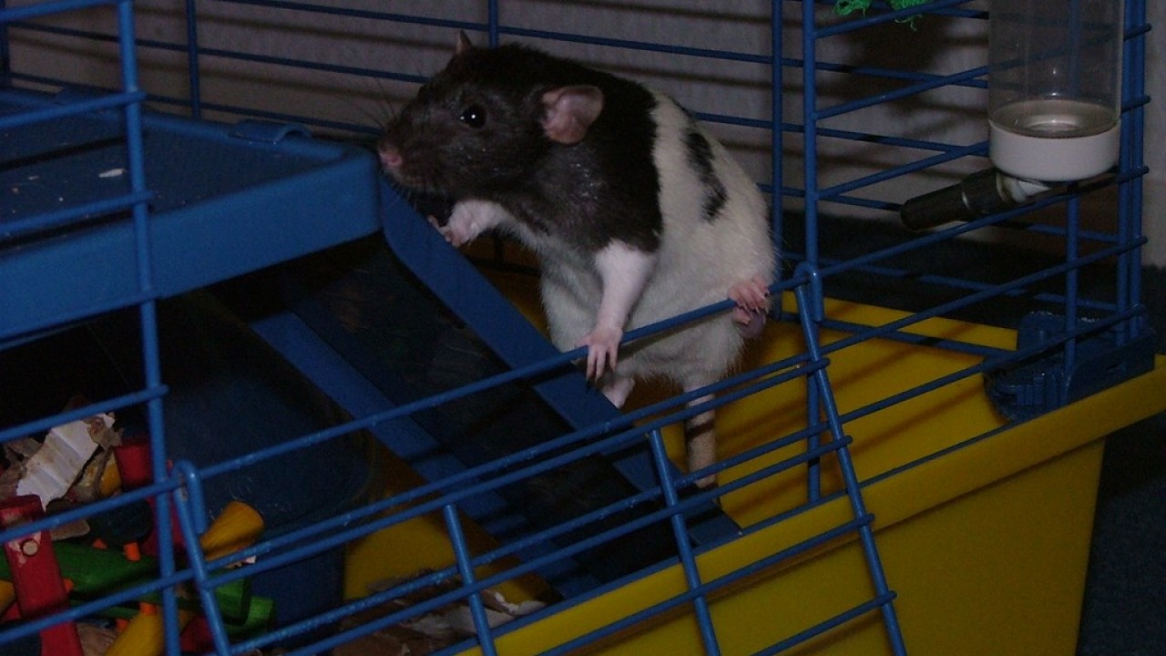 DSCF3797.JPG