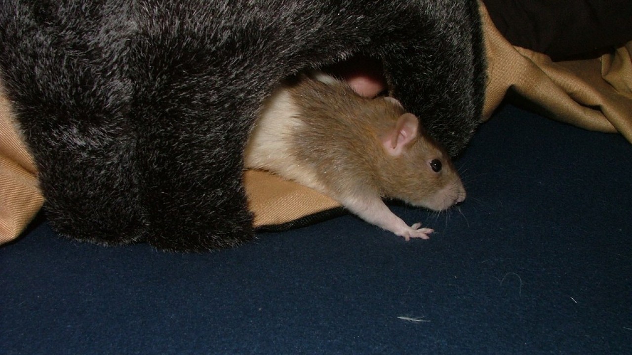 DSCF3940.JPG