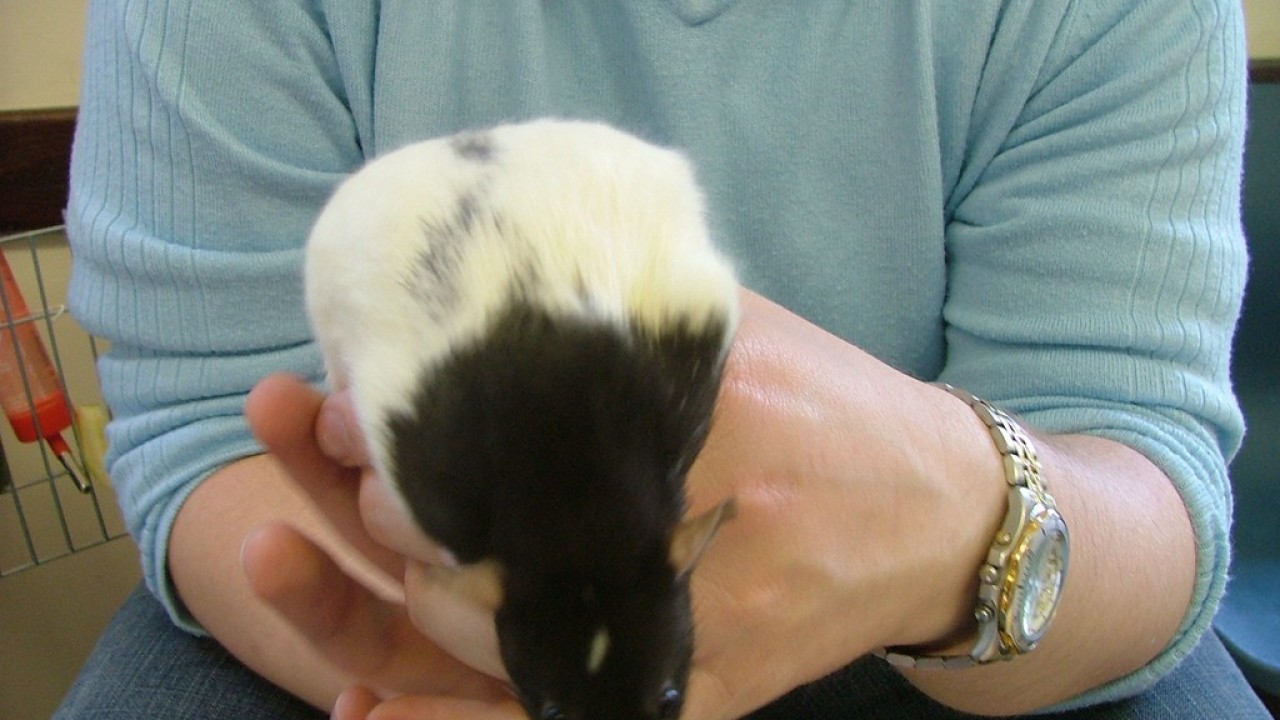 DSCF4037.JPG