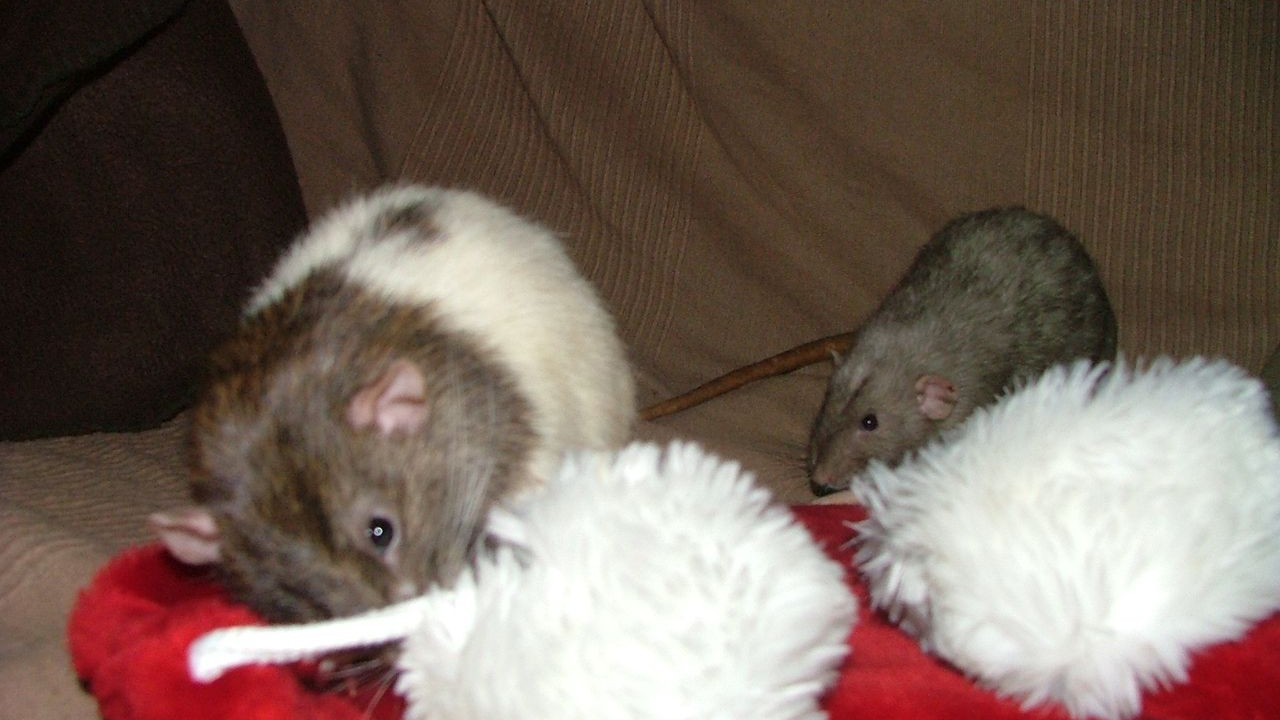 DSCF6720.JPG