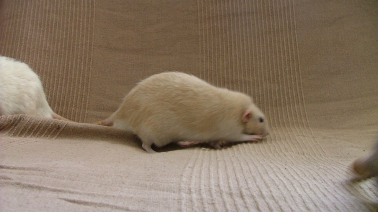 dscf6877.jpg