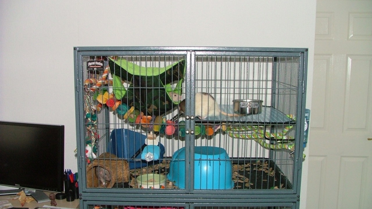 dscf6866.jpg