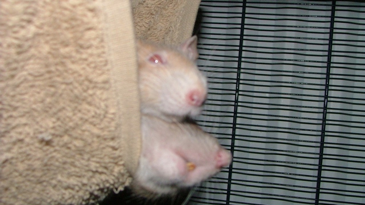 DSCF3667.JPG