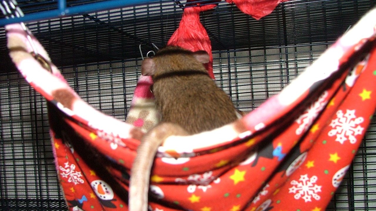 DSCF6745.JPG