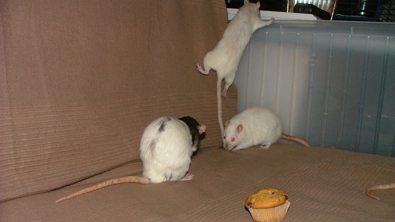 DSCF4738.JPG