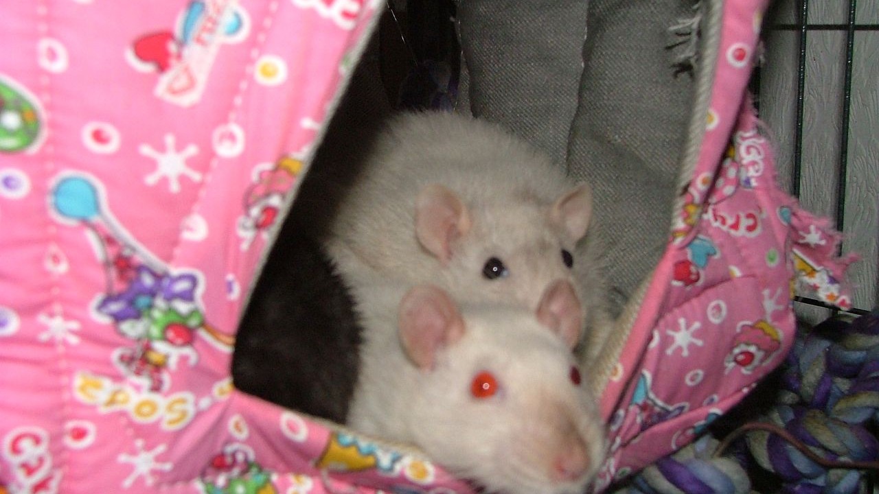 DSCF5674.JPG