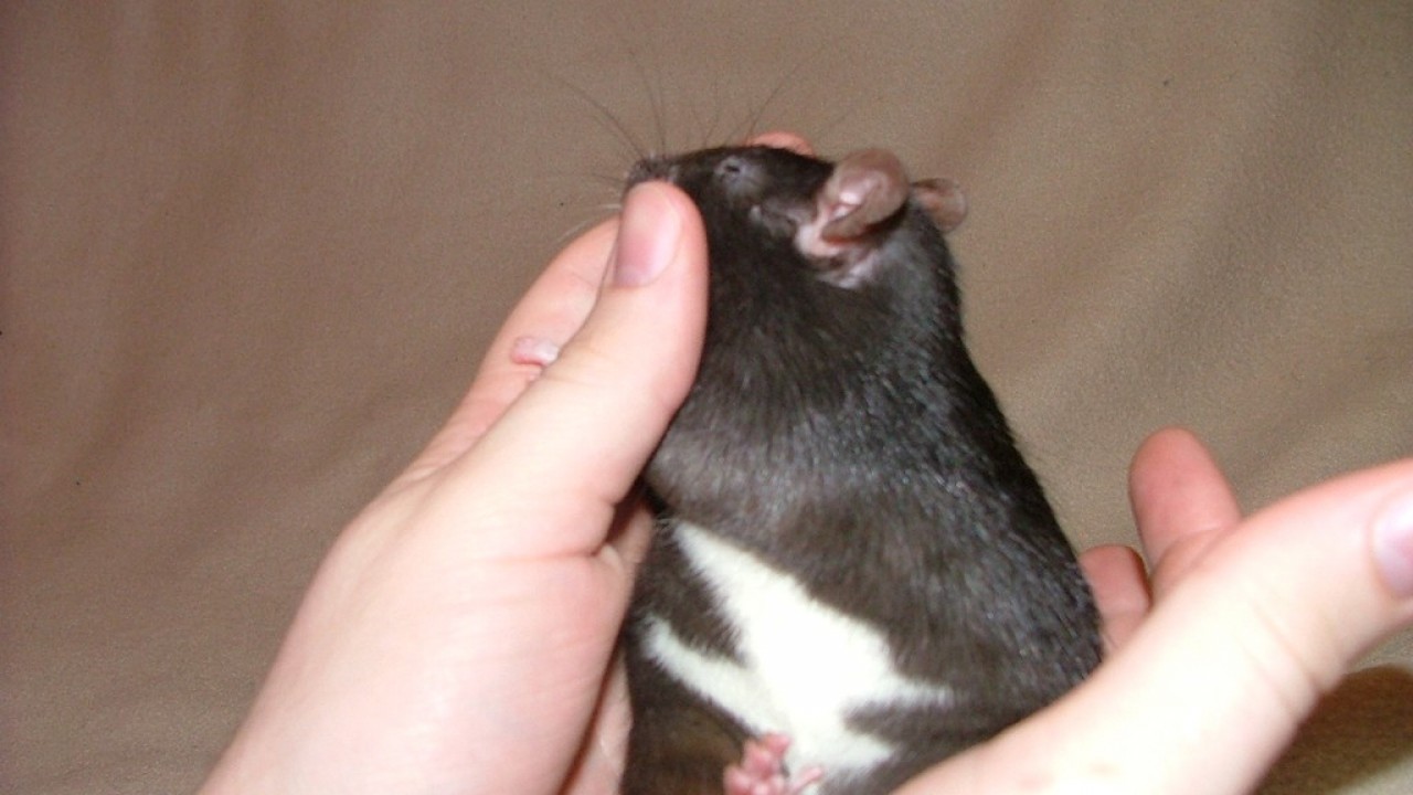 DSCF4291.JPG