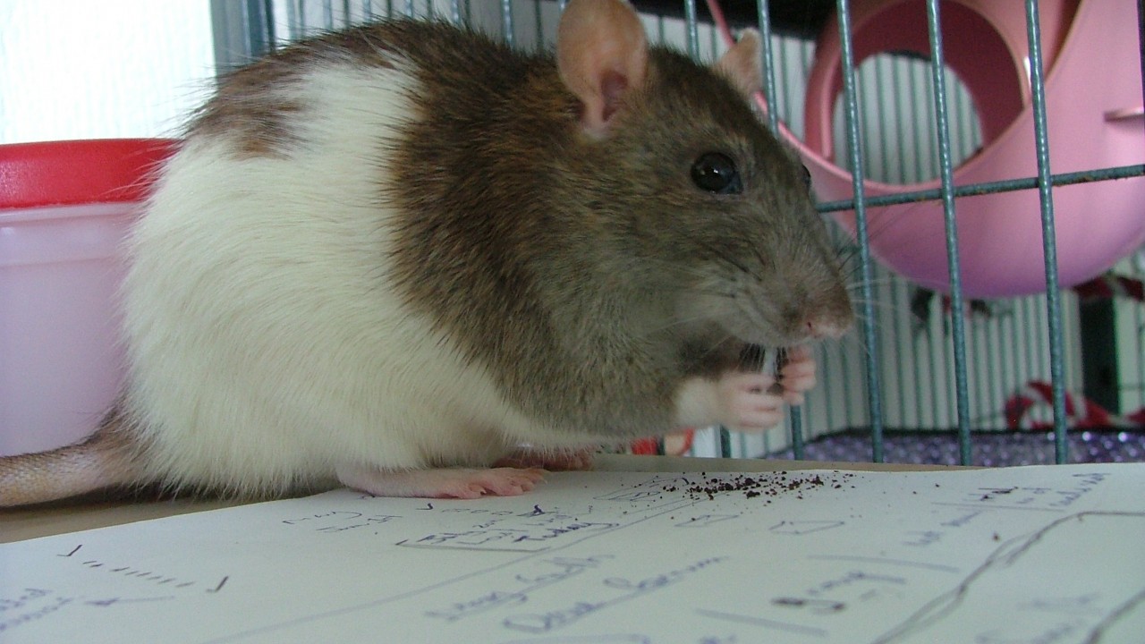 dscf6631.jpg