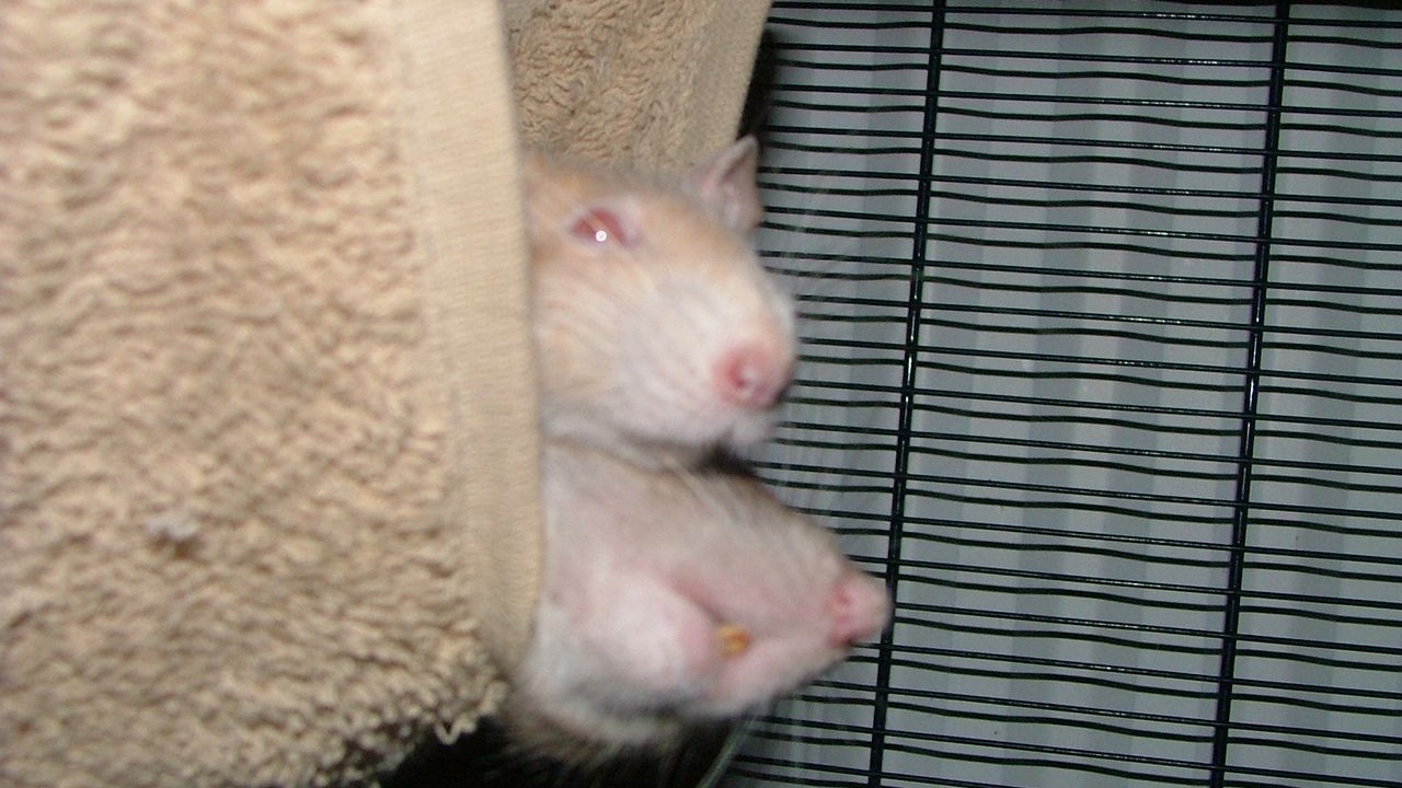 DSCF3667.JPG
