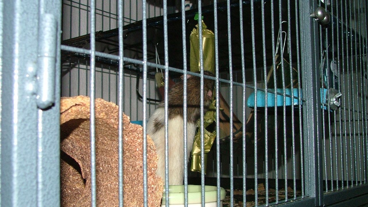 DSCF6752.JPG