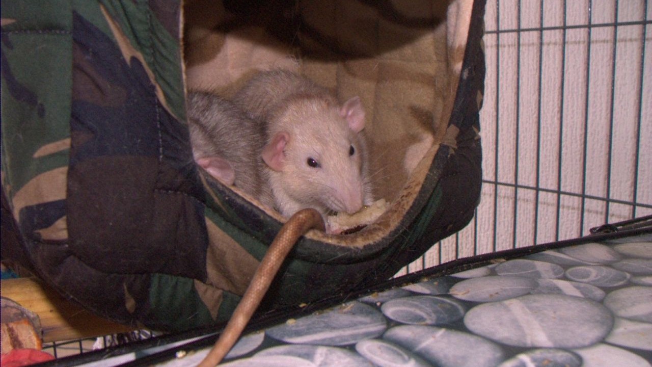 DSCF6179.jpg