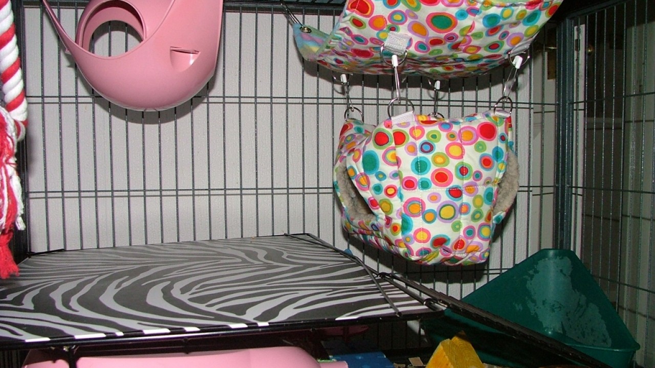 dscf6308.jpg