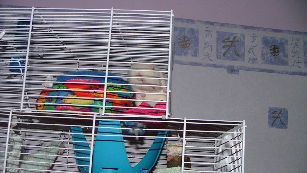 DSCF3871.JPG