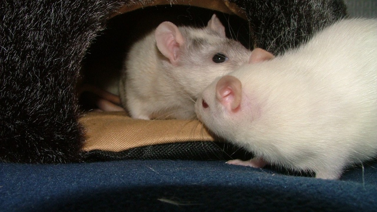 DSCF3938.JPG