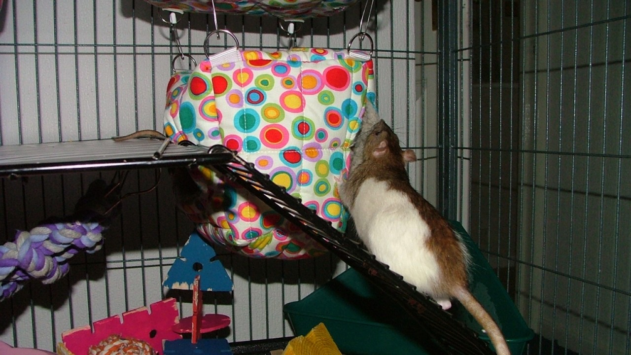 dscf6312.jpg