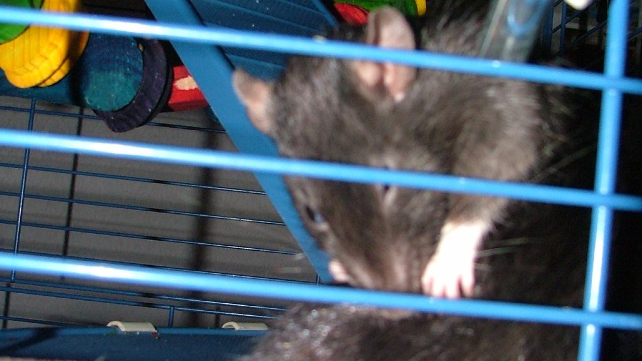 DSCF3775.JPG