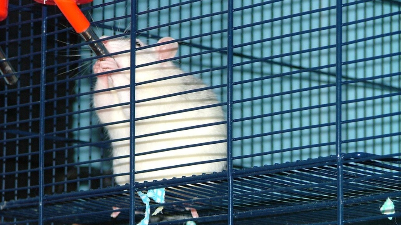DSCF1839.JPG