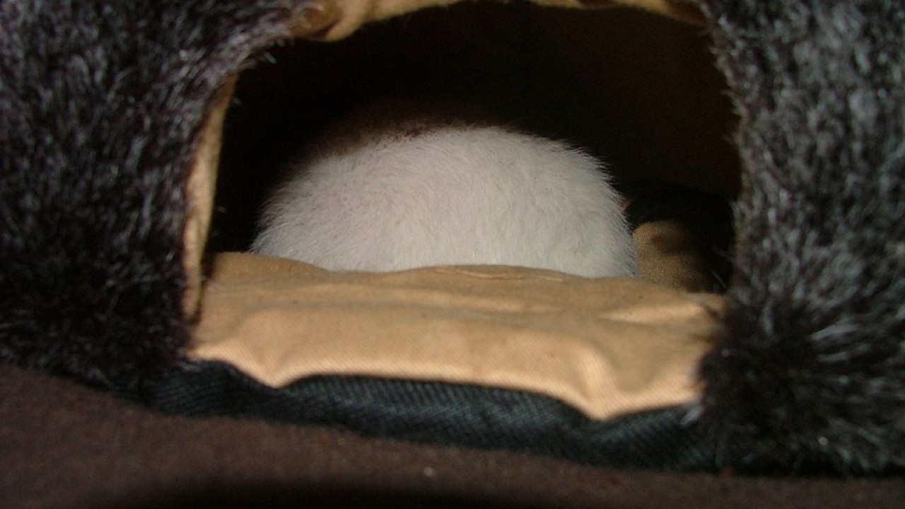 DSCF5556.JPG