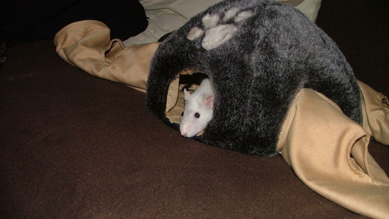 DSCF5557.JPG