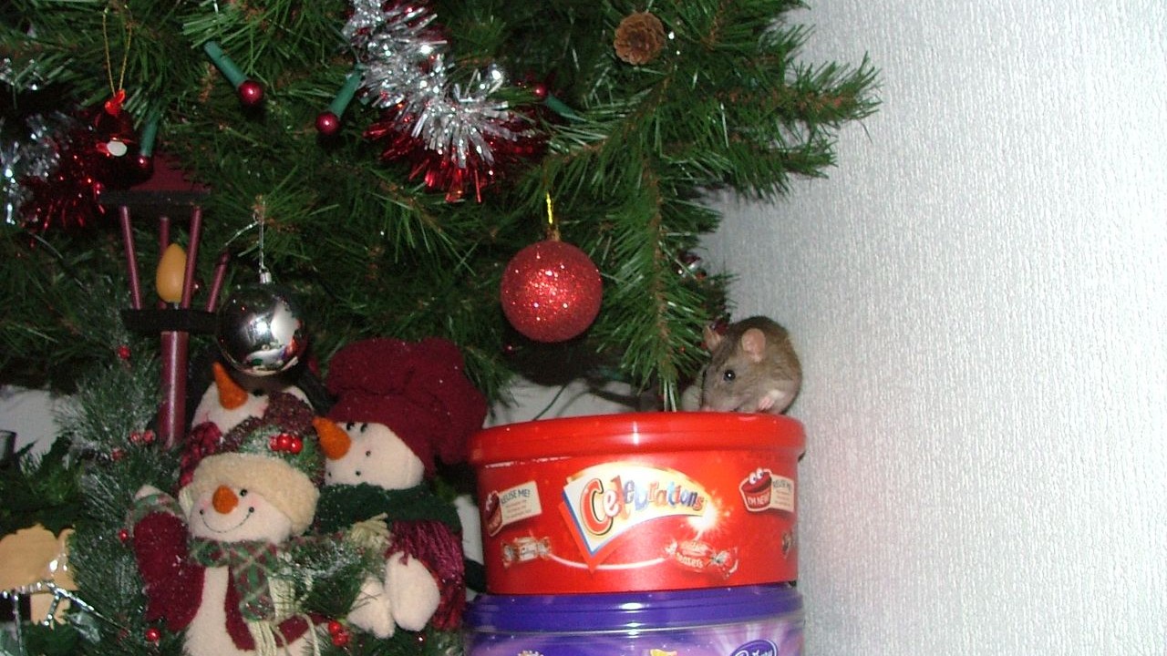DSCF6692.JPG