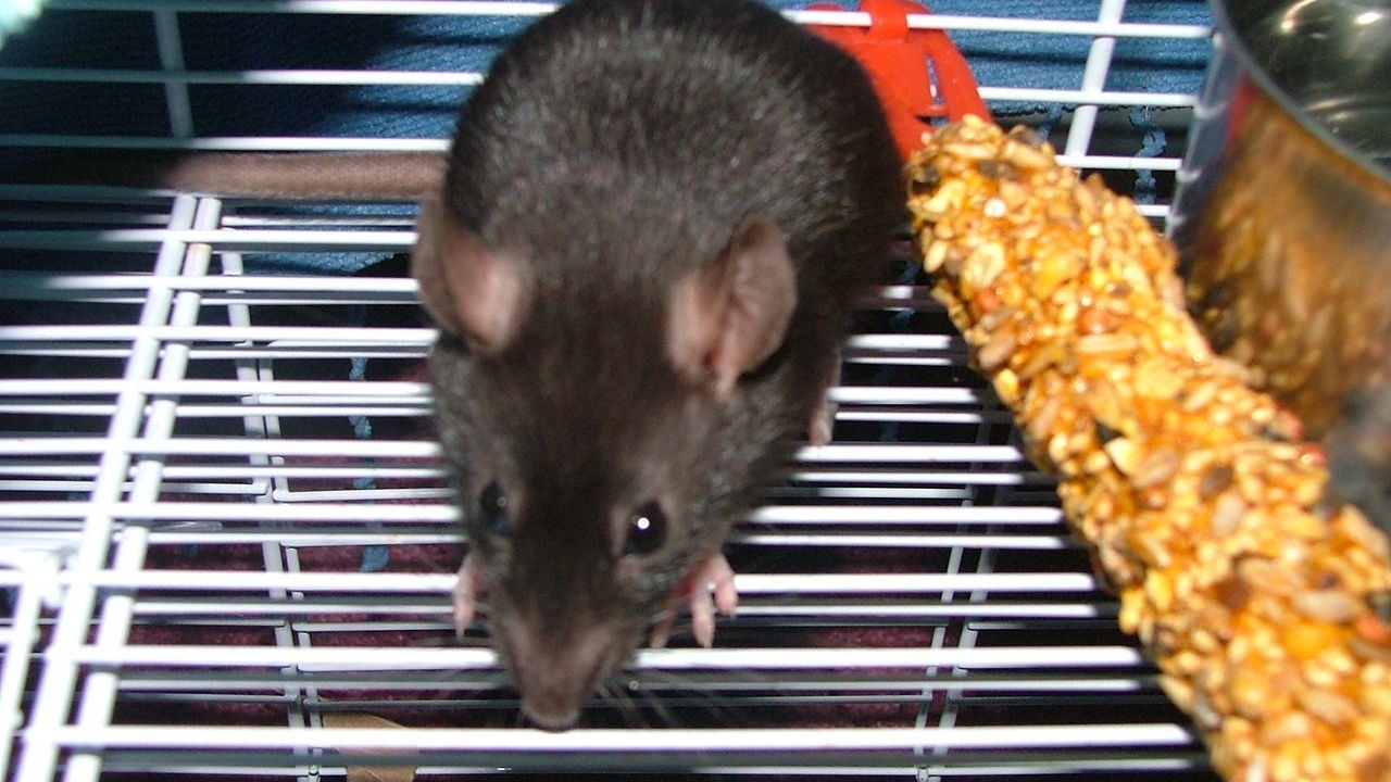 DSCF3672.JPG