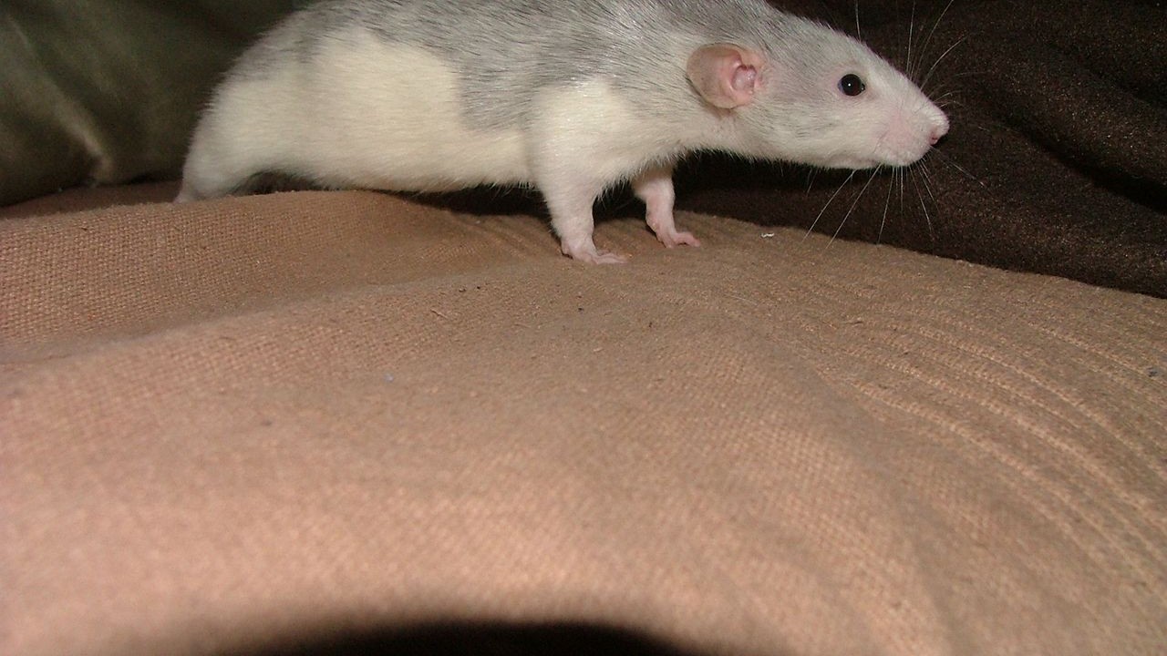 DSCF6758.JPG