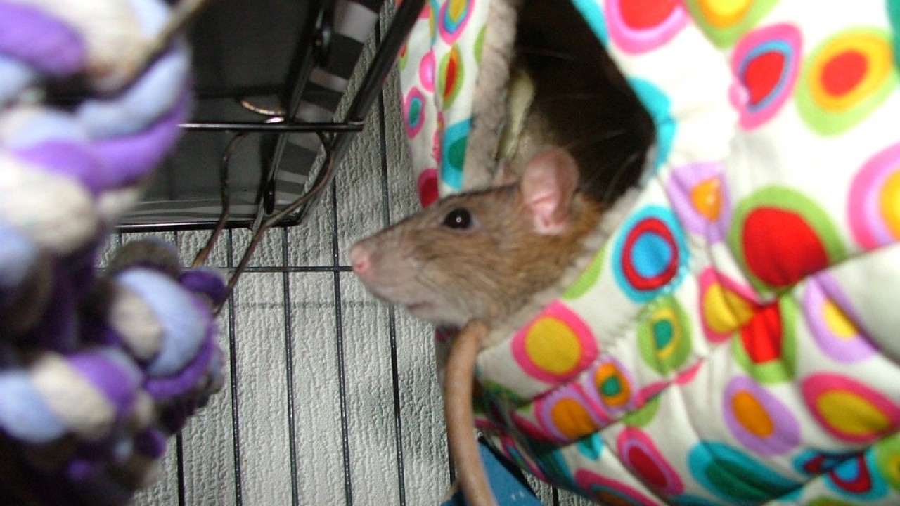 dscf6337.jpg