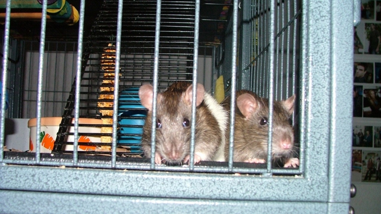 dscf5687.jpg