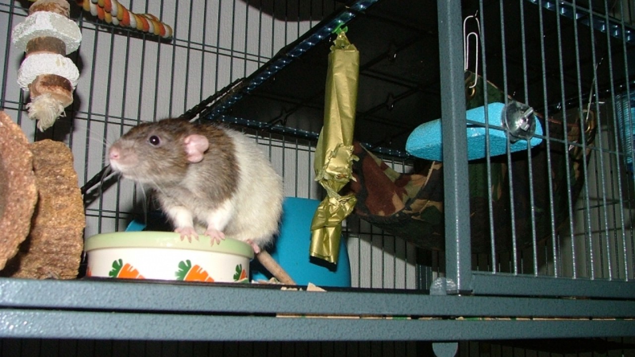 dscf6751.jpg