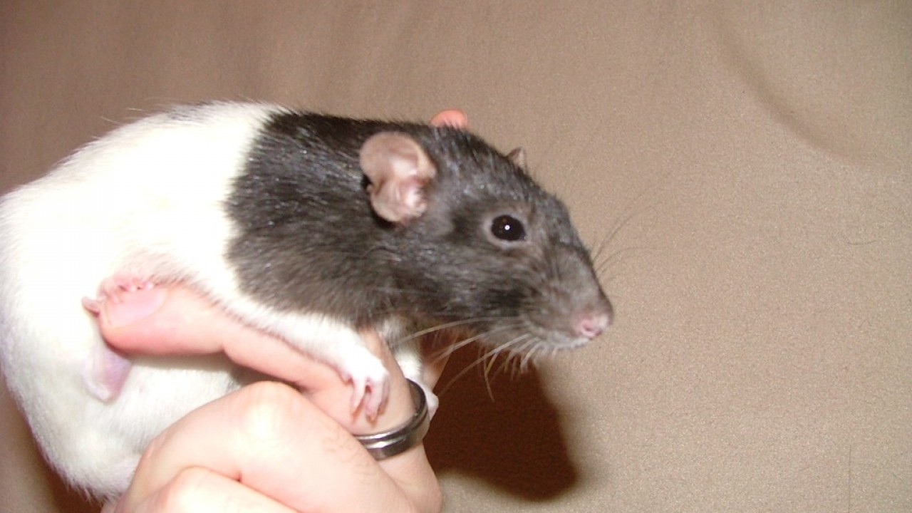 DSCF4300.JPG