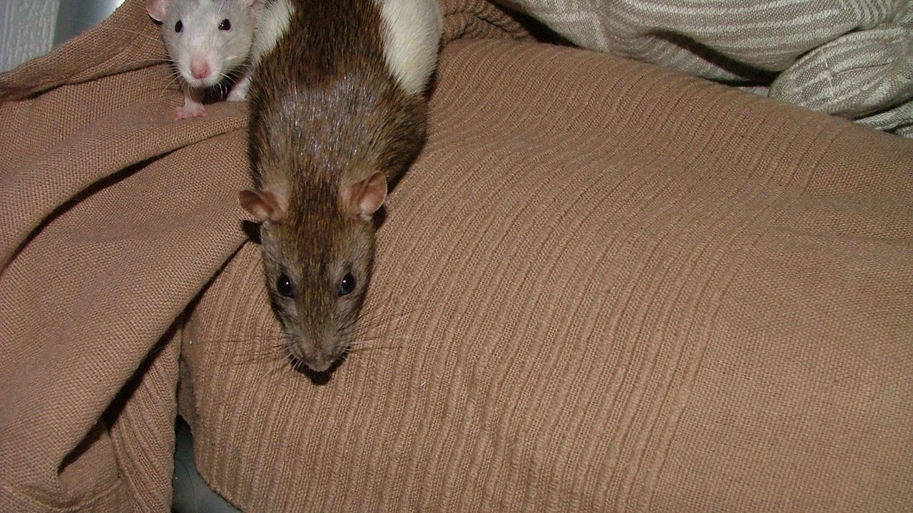 DSCF6779.JPG