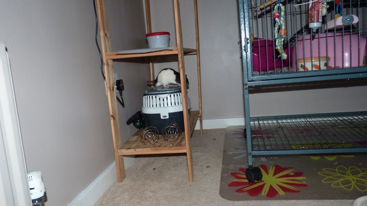 P1010646.JPG