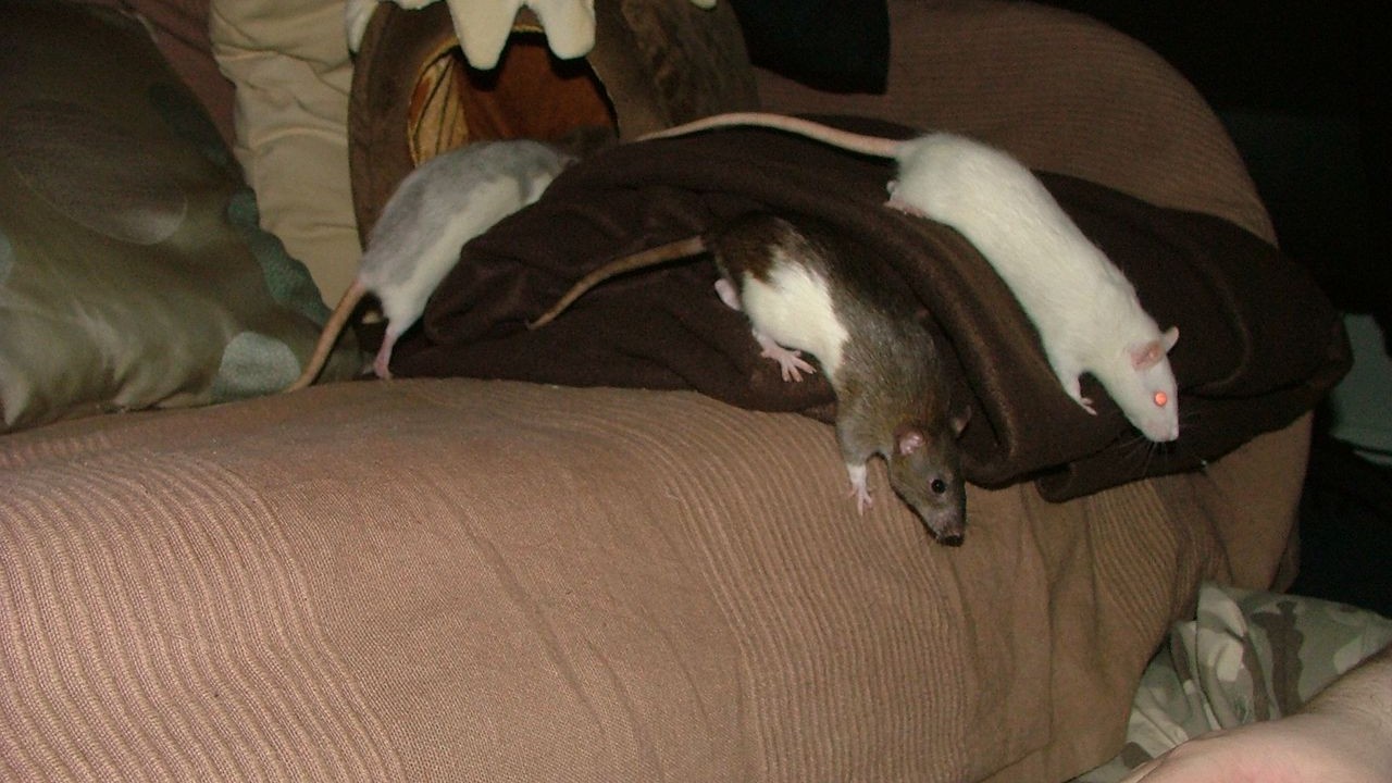 DSCF6777.JPG