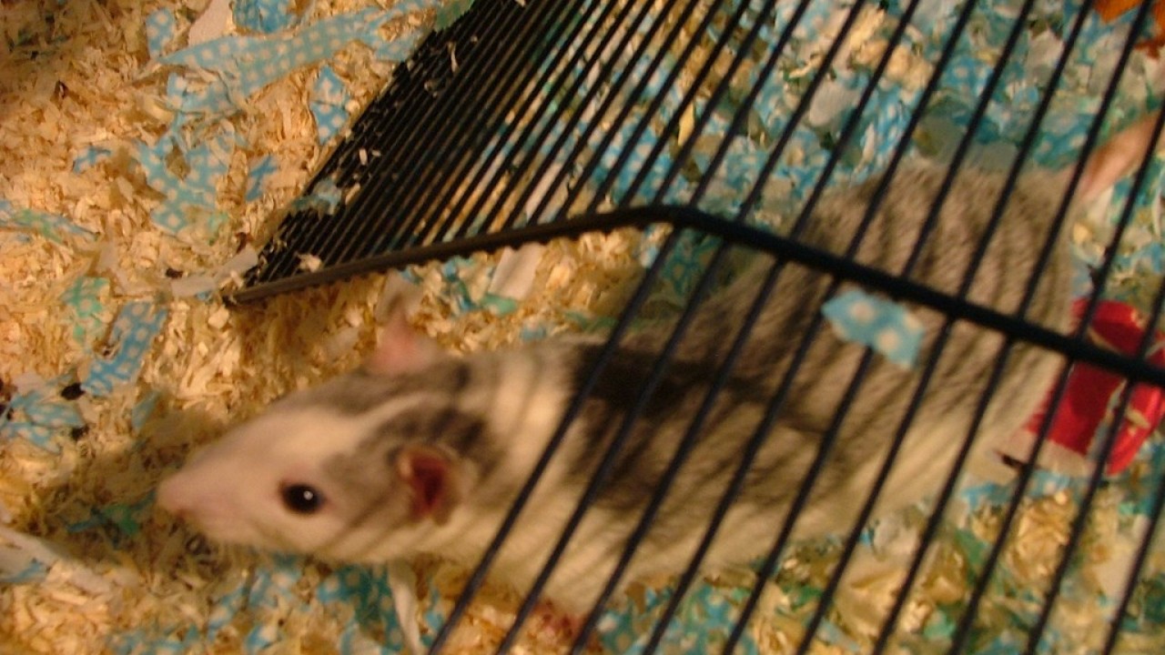 DSCF1515.JPG