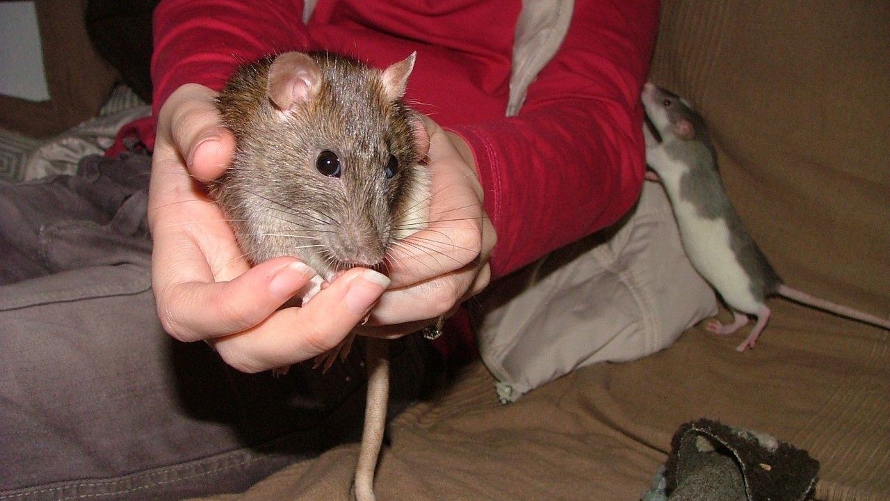 DSCF6638.JPG